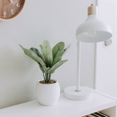 white wall white wall